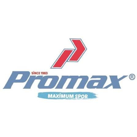 PROMAX logo